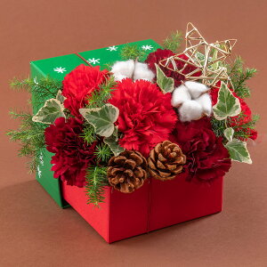 NX}X ؃}TfUC BOX AWguHeart Warming Christmasv JԒd