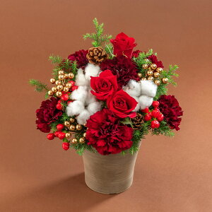 NX}X AWguz[[[Wv JԒd