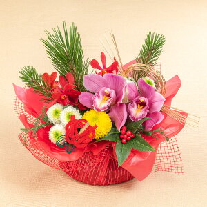  AWguc(ӂ)v JԒd  2026   AWg  AW   叼  t[AWg N  