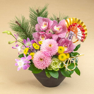  AWguKP()v JԒd 叼 AW  2026   AWg  AW   叼  t[AWg N 