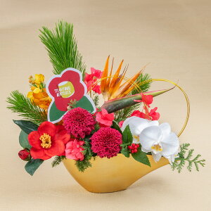  fUCi[YAWguz(͂)v JԒd