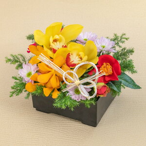  AWguԂ g(傤)v JԒd  2026   AWg  AW   叼  t[AWg N 