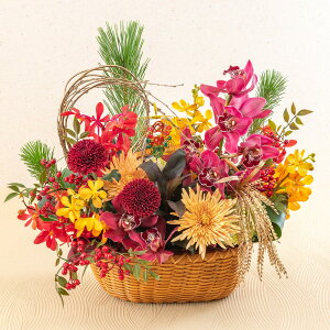  fUCi[YAWgu(ӂ)v JԒd