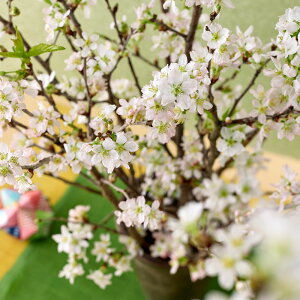  {bNXt[u[v JԒd  2026      t N    CeA  