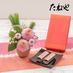  aَq ˂u}tӂݓVvƃAWg̃Zbg JԒd