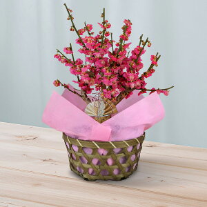  Ԕ g~(5) JԒd  2026  p N      j       5 ~