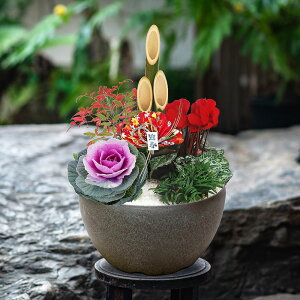  Ԕ }t叼 񂹐A JԒd  2026 叼  p N      j      