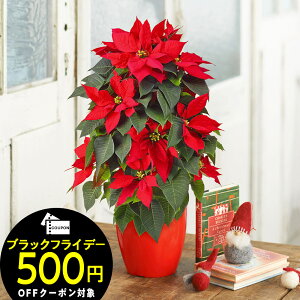 y͂11/2112/10zNX}X Ԕ |CZ`A ^[d(5) JԒd |CZ`A  NX}XMtg  NX}X NX}X CeA j ԑ v[g 