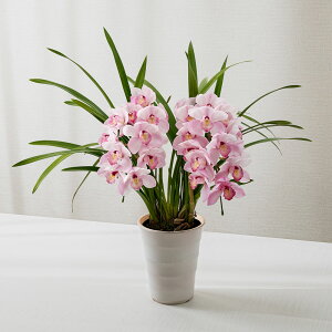 y͂11/2012/30zΕ Ԕ m ^VrWE A[`^sNn(2{) JԒd