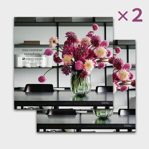 Ε uJԒd 2026 J_[ monophonicv(2Zbg)