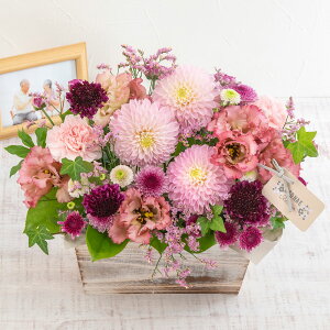   y͂10/31܂Łzp OESOENAEE floweru10̃Ebh{bNXAWgv JԒd    @  r ފ      