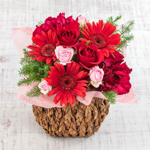 a  11{̉ o AWgu ruv JԒd v[g AWgt[ Ε LO LO ސEj   bZ[WJ[h t[Mtg a