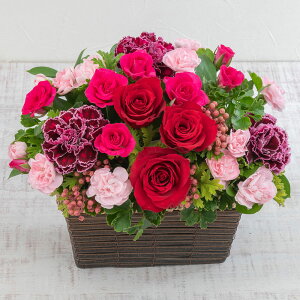 a  11{̉ o AWguGUXv JԒd v[g AWgt[ Ε LO LO ސEj   bZ[WJ[h t[Mtg a