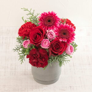 a  12{̉ o AWgueBGhD[v NX}X JԒd v[g AWgt[ LO  oYj LO ސEj  bZ[W