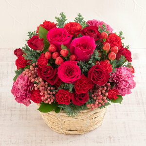 a  12{̉ o AWguAOAuv NX}X JԒd v[g AWgt[ LO  oYj LO ސEj  bZ[WJ