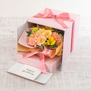 a  AWguo[Xf[fBP[Lv(CG[EIW)y͕sz JԒd v[g AWgt[ LO  oYj LO ސEj