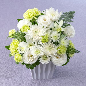   p AWguFe()v JԒd    @  r ފ      ʎ ʖ l\ bZ[WJ[h