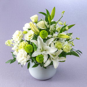   p AWgu()v JԒd    @  r ފ      ʎ ʖ l\ bZ[WJ[h 