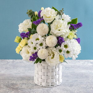   p AWguԕ(ӂ)v JԒd    @  r ފ      ʎ ʖ l\ bZ[WJ[h 