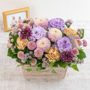   p OESOENAEE flower u9̃Ebh{bNXAWgv JԒd    @  r ފ      ʎ ʖ l\