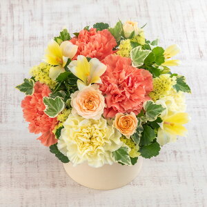 a  AWguWarm Wishesv JԒd v[g AWgt[ LO  oYj LO ސEj   bZ[WJ[h t[Mtg a