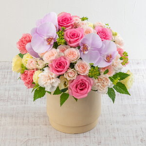 a  AWgutFe[Yv JԒd v[g AWgt[ LO  oYj LO ސEj   bZ[WJ[h t[Mtg a