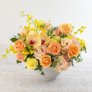 a  AWgutFeIWv JԒd v[g AWgt[ LO  oYj LO ސEj   bZ[WJ[h t[Mt