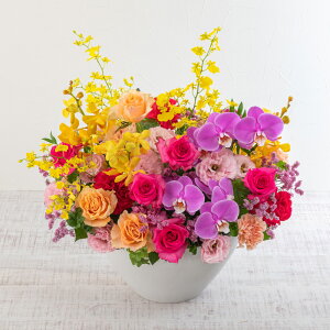 a  AWgutFeN[v JԒd v[g AWgt[ LO  oYj LO ސEj   bZ[WJ[h t[Mtg 