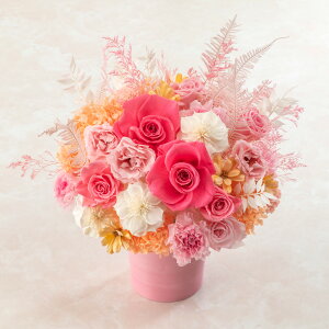 a  fUCi[Y vU[uhA[eBtBVt[AWguG^Zv JԒd v[g vU[uht[ A[eBtBVt[ LO 