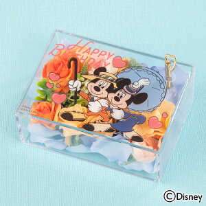 a  fBYj[ IS[unbs[o[Xf[(~bL[}EX~j[}EX)v JԒd yDisneyzonez vU[uht[ A[eBtBVt[ LO  