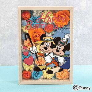 a  fBYj[ t[t[A[gunbs[o[Xf[(~bL[}EX~j[}EX)v JԒd yDisneyzonez vU[uht[ A[eBtBVt[ LO 