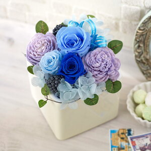 a  vU[uhA[eBtBVAWgut[L[uEu[vbsOt JԒd v[g vU[uht[ A[eBtBVt[ LO