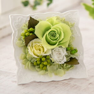 a  vU[uh t[ AWguveBbgt[EF[v JԒd v[g vU[uht[ A[eBtBVt[ LO  oYj 