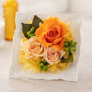 a  vU[uh t[ AWguveBbgt[EIWv JԒd v[g vU[uht[ A[eBtBVt[ LO  oYj