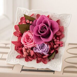 a  vU[uh t[ AWguveBbgt[EBIv JԒd v[g vU[uht[ A[eBtBVt[ LO  oYj 