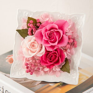 a  vU[uh t[ AWguveBbgt[E[Yv JԒd v[g vU[uht[ A[eBtBVt[ LO  oYj 