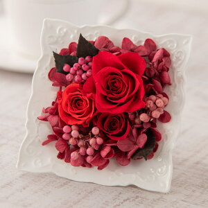 a  vU[uh t[ AWguveBbgt[E[Wv JԒd v[g vU[uht[ A[eBtBVt[ LO  oYj 