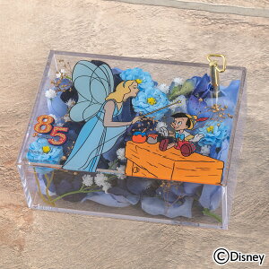 a  fBYj[ wsmLIx85NIS[t[ JԒd yDisneyzonez vU[uht[ A[eBtBVt[ LO  LO  bZ[WJ[