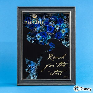 a  fBYj[wt@^WAx85N t[A[g JԒd yDisneyzonez vU[uht[ A[eBtBVt[ LO  LO  bZ[WJ[