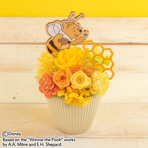 a  fBYj[ vU[uhAWguu[~OtB[h(܂̃v[)v JԒd yDisneyzonez vU[uht[ A[eBtBVt[ LO 