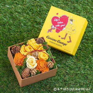 a  ̃W[W vU[uhhCt[AWgun[gtv JԒd LO  oYj ސEj bZ[WJ[h t[Mtg av[