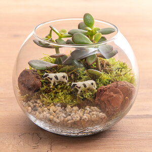 ϗtA eEu tFv JԒd a  v[g CeAO[ p LO Vzj JXj LO ސEj  t[Mtg av[