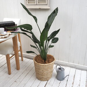 ϗtAuMl(L)EoXPbgvy^zz JԒd a  v[g CeAO[ p LO Vzj JXj LO ސEj  t[Mtg a