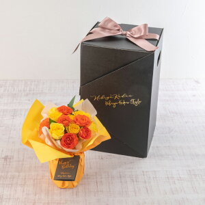 a  fB{bNXԑu[Ynbs[o[Xf[v(CG[EIW)y͕sz u[P JԒd v[g LO  oYj LO ސEj  