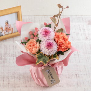  ԑy͂10/31܂Łz p OESOENAEE floweru10̂̂܂܏u[Pv JԒd    @  r ފ      ʎ 