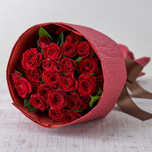 a  o ԑu[Ybhv u[P JԒd v[g LO  oYj LO ސEj   bZ[WJ[h t[Mtg av[g