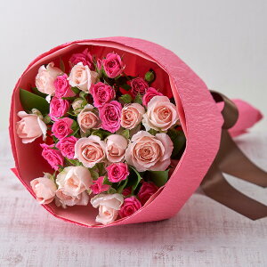 a  o ԑu[YsNv u[P JԒd v[g LO  oYj LO ސEj   bZ[WJ[h t[Mtg av[g