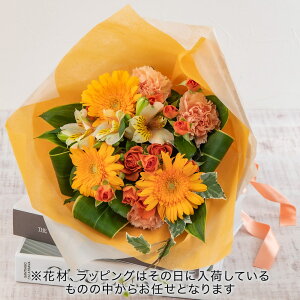 a  y܂V[YzG߂̂ CG[EIWnԑ u[P JԒd v[g LO  oYj LO ސEj   bZ[WJ[h  