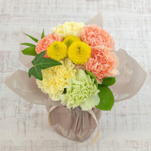 a  ԑ ̂܂܏ecou[PuCG[v JԒd v[g LO  oYj LO ސEj   bZ[WJ[h  t[Mtg av