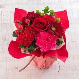 誕生日 花 花束 そのまま飾れるecoブーケ「ベリーレッド」 日比谷花壇 プレゼント 記念日 お見舞い 出産祝い 結婚記念日 退職祝い 送別 生花 メッセージカード 送料無料 フラワーギフト 誕生日プレゼント